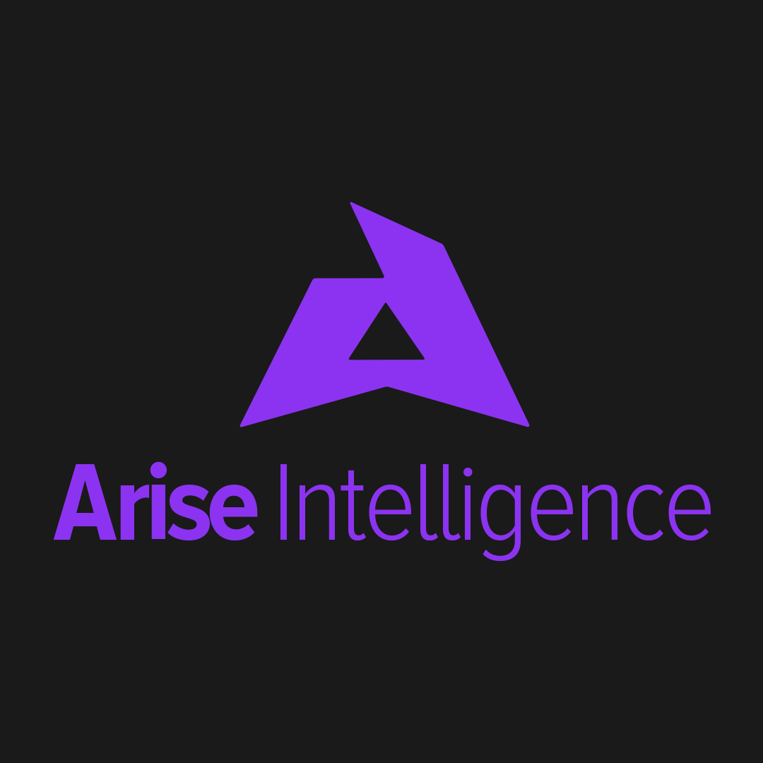 ARISE INTELLIGENCE